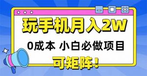 玩玩手机月入20000+，0成本小白必做项目，可矩阵-琴书聊项目