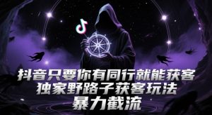 抖音只要你有同行就能获客，独家野路子获客玩法，暴力截流【揭秘】-琴书聊项目