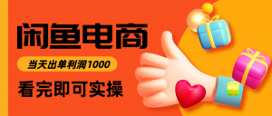闲鱼高利润电商,入门到出单只需3小时,每天利润1000-琴书聊项目
