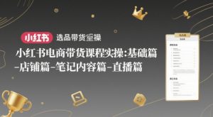 小红书电商带货课程实操：基础篇-选品篇-店铺篇-笔记内容篇-直播篇-琴书聊项目