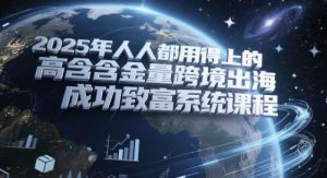 2025年人人都用得上的高含金量跨境出海成功致富系统课程-琴书聊项目