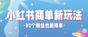 小红书商单新玩法，30个粉丝也能接单，一个月接三单赚了150+！适合新手小白操作-琴书聊项目