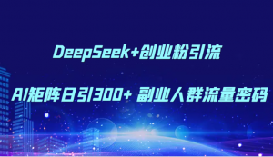 DeepSeek+创业粉引流 AI矩阵日引300+ 副业人群流量密码-琴书聊项目