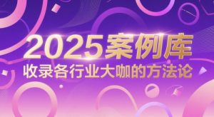 2025案例库，收录各行业大咖的方法论-琴书聊项目