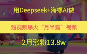 用Deepseek+海螺AI做短视频爆火“月半猫”视频，2月涨粉13.8w-琴书聊项目