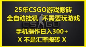 25年CSGO游戏搬砖，全自动运行，不需要玩游戏，手机操作日入3张(不是汇率搬砖)【揭秘】-琴书聊项目