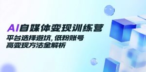 AI自媒体变现训练营，平台选择避坑，低粉账号高变现方法全解析-琴书聊项目