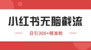 小红书截流同行客源，独家野路子获客玩法 日引200+暴力获客【揭秘】-琴书聊项目