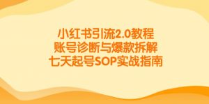 小红书引流2.0教程,账号诊断与爆款拆解,七天起号SOP实战指南-琴书聊项目