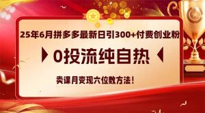 25年6月拼多多最新日引300+付费创业粉,0投流纯自热 卖课月变现六位数方法-琴书聊项目