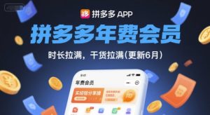 拼多多年费会员，实经验分享操，时长拉满，干货拉满(更新6月)-琴书聊项目