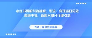 小红书男粉引流拆解，引流、变现当日见效超级干货，适用大部分行业引流-琴书聊项目