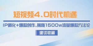 短视频4.0时代机遇：IP孵化+爆款创作，揭秘1500w流量爆款方法论-琴书聊项目