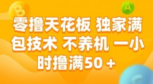 零撸天花板，独家满包技术 不养机 一小时撸满50+【揭秘】-琴书聊项目