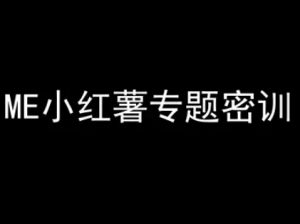 ME小红薯专题密训-小红书电商教程-琴书聊项目