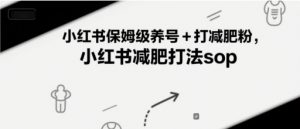 小红书保姆级养号+打减肥粉，小红书减肥打法sop-琴书聊项目
