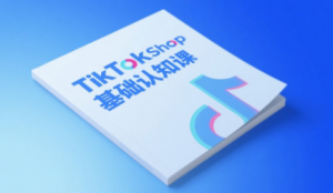 梨子姐姐·TikTok小店基础认知课-琴书聊项目