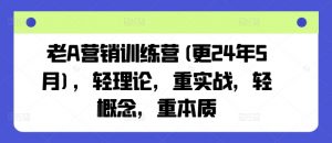 老A营销训练营(更25年6月)，轻理论，重实战，轻概念，重本质-琴书聊项目
