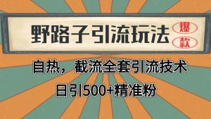 2024首发野路子引流玩法截流自热全平台打法，全自动引流【日引2000+精准客户】-琴书聊项目