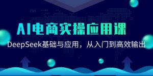 AI电商实操应用课：DeepSeek基础与应用，从入门到高效输出-琴书聊项目