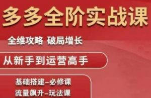 拼多多全阶实战课程，全维攻略，破局增长，从新手到运营高手-琴书聊项目