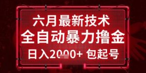 六月最新技术全自动暴力撸金，稳定日入2k+包起号，长期稳定【揭秘】-琴书聊项目