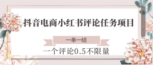 抖音电商小红书评论任务项目,一个评论0.5,一单一结 不限量-琴书聊项目