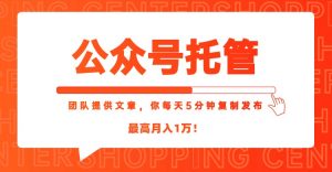 【公众号托管 】我提供文章，你每天５分钟复制发布，最高月入1W-琴书聊项目