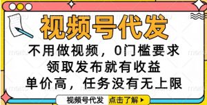 视频号代发，不用做视频，0门槛要求，领取发布就有收益，单价高，任务没有无上限【揭秘】-琴书聊项目