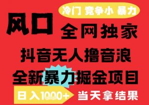 25年6月高爆抖音无人直播最新撸音浪掘金项目，解放双手小白可做，无脑日入1k+，门槛低【揭秘】-琴书聊项目