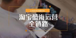 淘宝蓝海运营全链路，从选品到流量变现，小类目突围完整方案-琴书聊项目