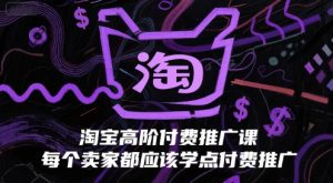 淘宝高阶付费推广课，每个卖家都应该学点付费推广-琴书聊项目