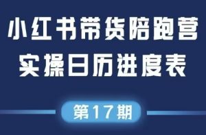 盗坤·抖音小红书视频号短视频带货与直播变现(11-17期)-琴书聊项目