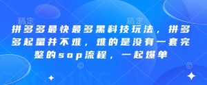 拼多多最快最多黑科技玩法，拼多多起量并不难，难的是没有一套完整的sop流程，一起爆单(更新6月)-琴书聊项目