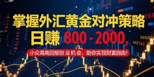 掌握外汇黄金对冲策略,日赚 800 – 2000,小众高回报创业机会,助你实…-琴书聊项目