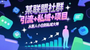 某联盟社群，引流+私域+项目，从新人小白到私域大神-琴书聊项目