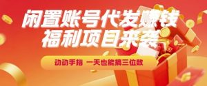 福利项目来袭,闲置账号代发挣钱,动动手指,一天也能搞三位数【揭秘】-琴书聊项目