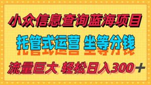 稳定日入300＋，小众信息查询蓝海项目，全程懒人式托管，解放你的时间-琴书聊项目