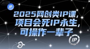2025网创类IP课，项目会死IP永生，可操作一辈子-琴书聊项目