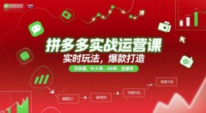 拼多多实战运营课,实时玩法,爆款打造,改销量,补大单,AB单,直播等(更新2025月)-琴书聊项目