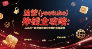 油管(youtube)挣钱全攻略：从开通广告收益到国内收款的实操指南-琴书聊项目