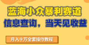 蓝海小众暴利赛道，信息查询，当天见收益，不讲玄学，7天搞了2万+-琴书聊项目