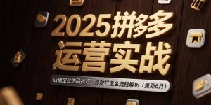 2025拼多多运营实战：店铺定位选品技巧，爆款打造全流程解析(更新6月-琴书聊项目