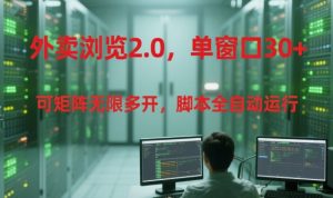 外卖浏览2.0，单窗口30+可矩阵无限多开，脚本全自动运行【揭秘】-琴书聊项目