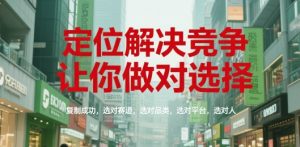 定位解决竞争，让你做对选择，复制成功，选对赛道，选对品类，选对平台，选对人-琴书聊项目