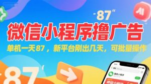 微信小程序看广告,单机一天87,新平台刚出几天,可批量操作,日入5张-琴书聊项目