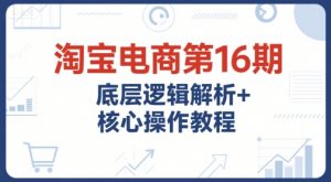淘宝电商第16期，底层逻辑解析+核心操作教程，运营、推广提升能力的必学课程+配套资料-琴书聊项目