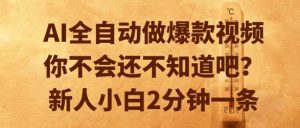 AI全自动做爆款视频，你不会还不知道吧？新人小白2分钟一条【揭秘】-琴书聊项目