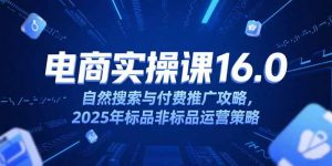 淘宝电商运营课16.0，自然搜索与付费推广攻略，2025年标品非标品运营策略-琴书聊项目