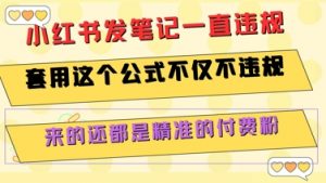 小红书发笔记一直违规,套用这个公式不仅不违规,来的还都是精准的付费粉-琴书聊项目